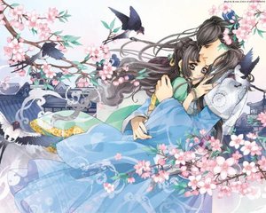猫咪永久地址入口
